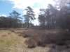 dscn0338_small.jpg