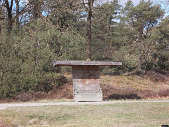 dscn0340.jpg