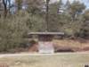 dscn0340_small.jpg