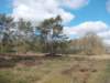 dscn0341_small.jpg