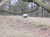 dscn0343_small.jpg