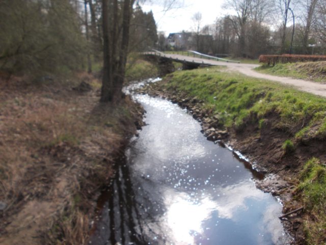 dscn0007.jpg