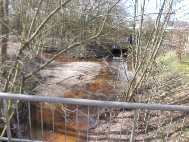 dscn0009.jpg