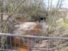 dscn0009_small.jpg