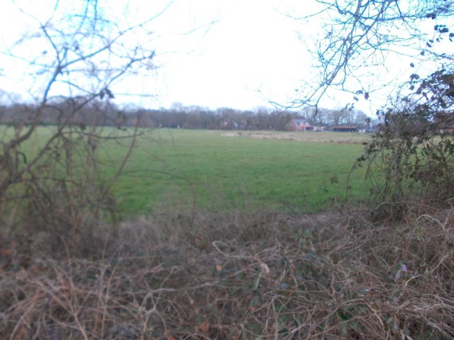 dscn0025.jpg