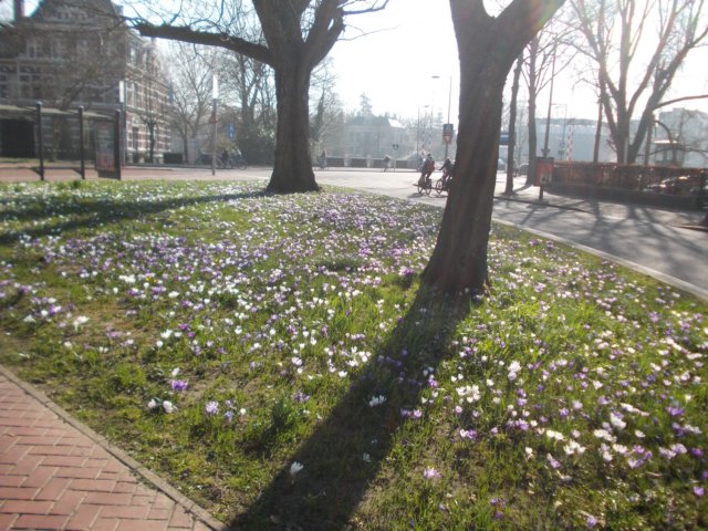 dscn0207.jpg