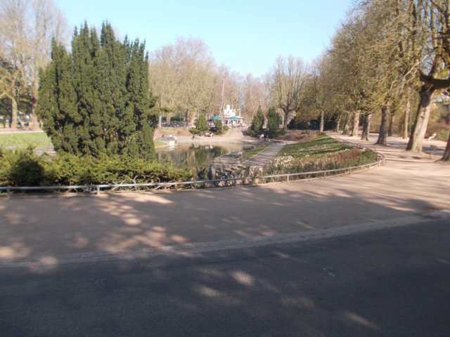 dscn0246.jpg