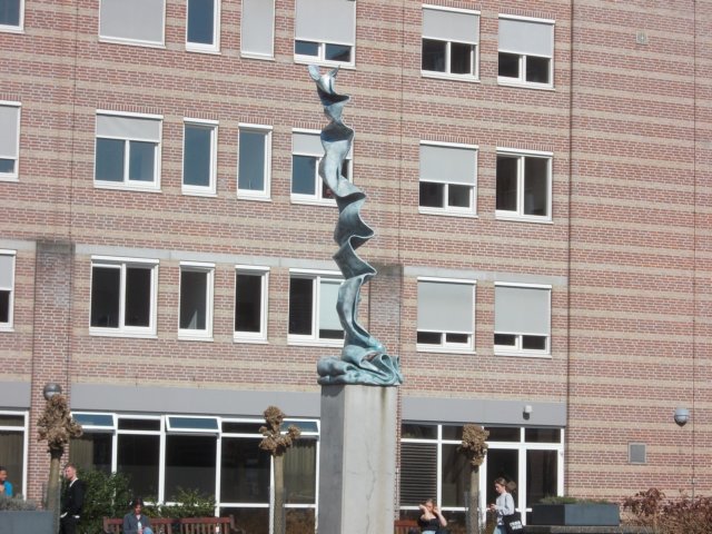 dscn0256.jpg