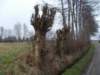 dscn1100_small.jpg