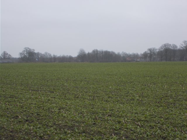 dscn1102.jpg