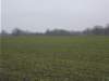 dscn1102_small.jpg