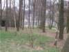dscn1104_small.jpg