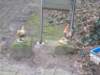 dscn1106_small.jpg