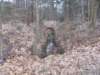 dscn1107_small.jpg