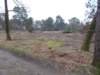 dscn1108_small.jpg