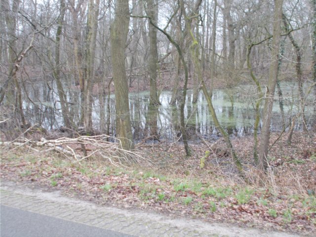 dscn1115.jpg