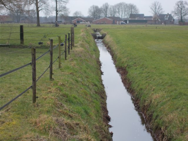 dscn1116.jpg