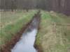 dscn1117_small.jpg