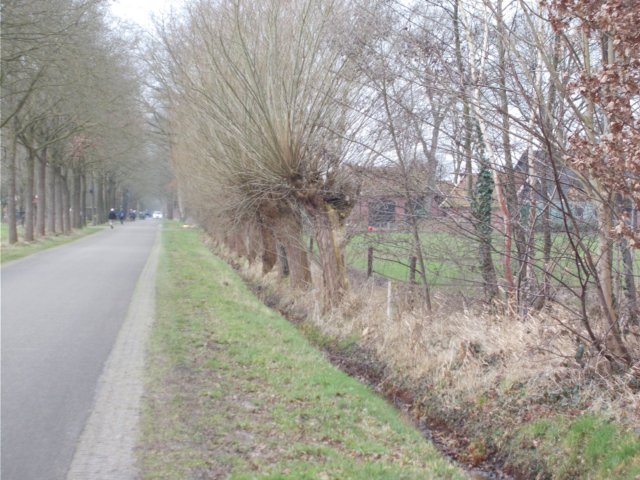 dscn1119.jpg