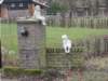 dscn1121_small.jpg