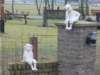 dscn1122_small.jpg