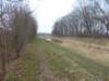 dscn1126_small.jpg