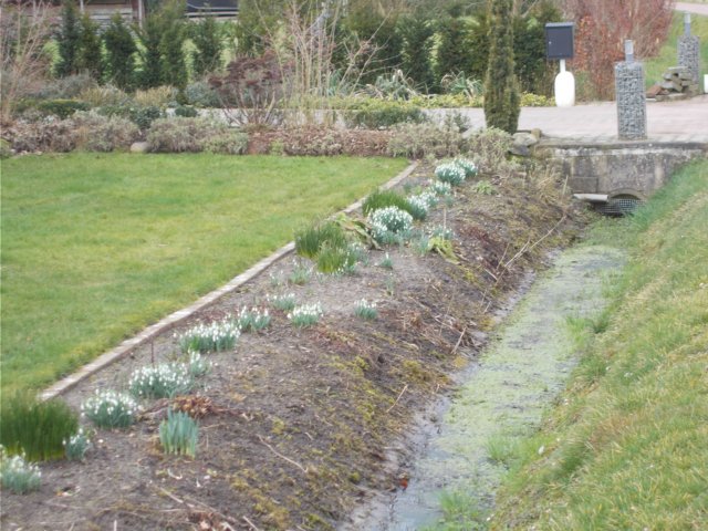 dscn1128.jpg