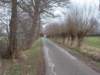 dscn1131_small.jpg
