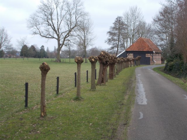 dscn1132.jpg