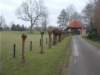 dscn1132_small.jpg