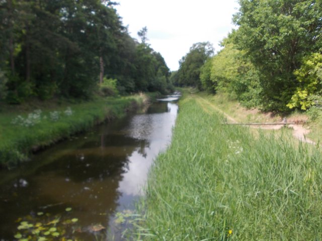 dscn0095.jpg