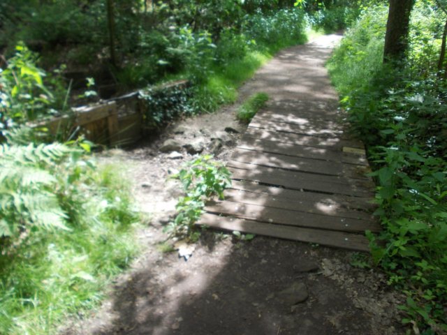dscn0101.jpg