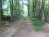dscn0102_small.jpg