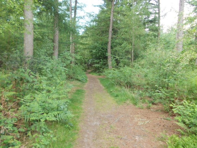 dscn0103.jpg