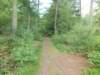 dscn0103_small.jpg