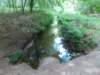 dscn0105_small.jpg