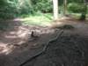 dscn0107_small.jpg