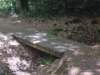 dscn0109_small.jpg