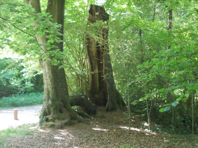 dscn0110.jpg