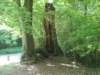 dscn0110_small.jpg