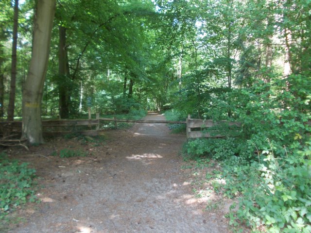 dscn0111.jpg