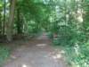 dscn0111_small.jpg