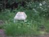 dscn0112_small.jpg