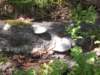 dscn0113_small.jpg