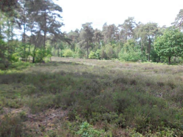 dscn0115.jpg
