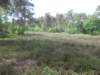 dscn0115_small.jpg