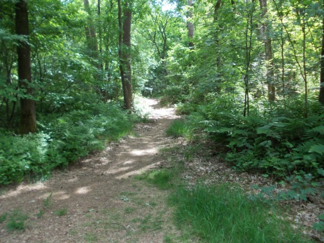 dscn0116.jpg