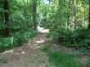 dscn0116_small.jpg