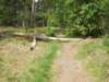 dscn0117_small.jpg