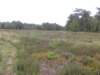 dscn0120_small.jpg